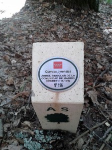 Salida Rebollo de la Maleza.