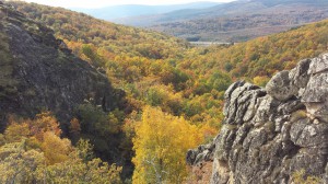 Somosierra  / Cascadas y abedular. Dehesa Boyal.25 Octubre 2015 
