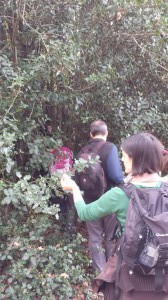 2015-10-25 14.15.26-1 