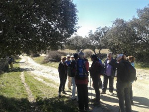 Por la dehesa de Enmedio