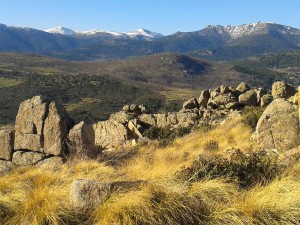 Serrania de la Paloma