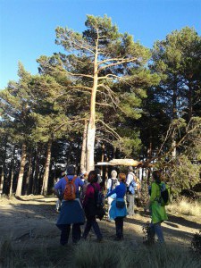 Efectos del Invierno ..