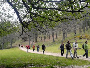 Castañar del Tiemblo.  