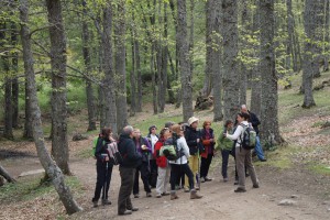 Castañar del Tiemblo