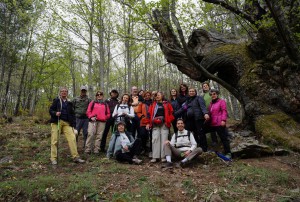 Castañar del Tiemblo 
