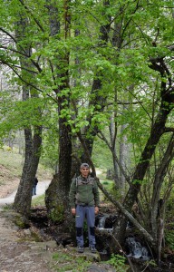 Castañar del Tiemblo 