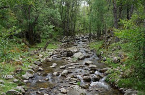 Castañar del Tiemblo 