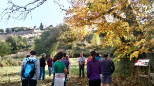 Nogal de Horcajo de la Sierra                   