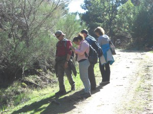 Salida Rebollo de la Maleza.