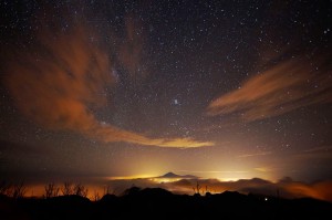 Bosque prehistórico en La Gomera