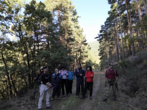 Salida Rebollo de la Maleza