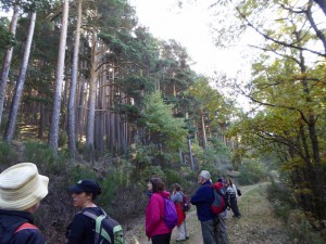 Salida Rebollo de la Maleza