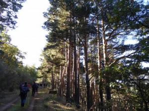 Salida Rebollo de la Maleza