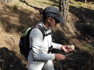 Salida Rebollo de la Maleza