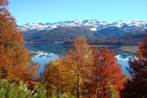 El Parque del Conguillío, entre volcanes y lagos en los Andes