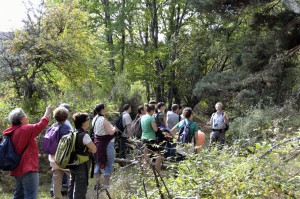 Ruta Hayedo Montejo -  La Hiruela                
