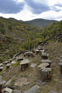 Colmenas de la Hiruela