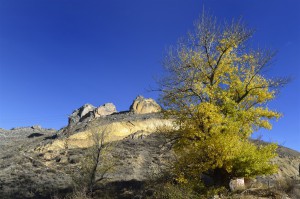  Por Las Hoces del Duratón   