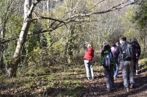   Por Las Hoces del Duratón   