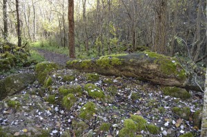  Por Las Hoces del Duratón      