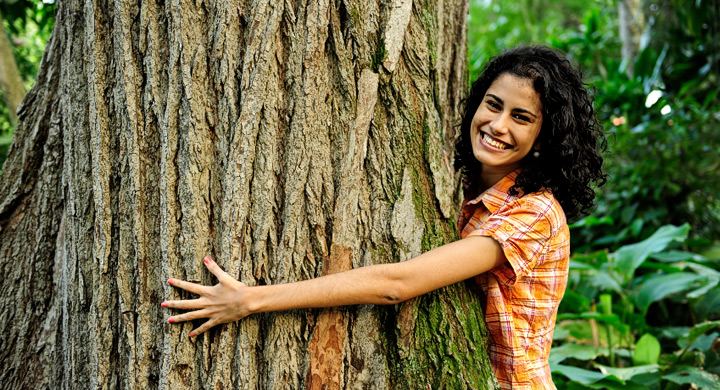 Los beneficios de abrazar árboles – SDL Investigación y Divulgación del  Medio Ambiente