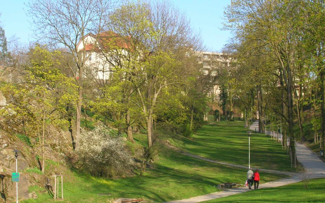“JORNADA SOBRE BOSQUES URBANOS Y SALUD EN LAS CIUDADES.NUEVAS PERSPECTIVAS”. MADRID 7 DE JUNIO DE 2018