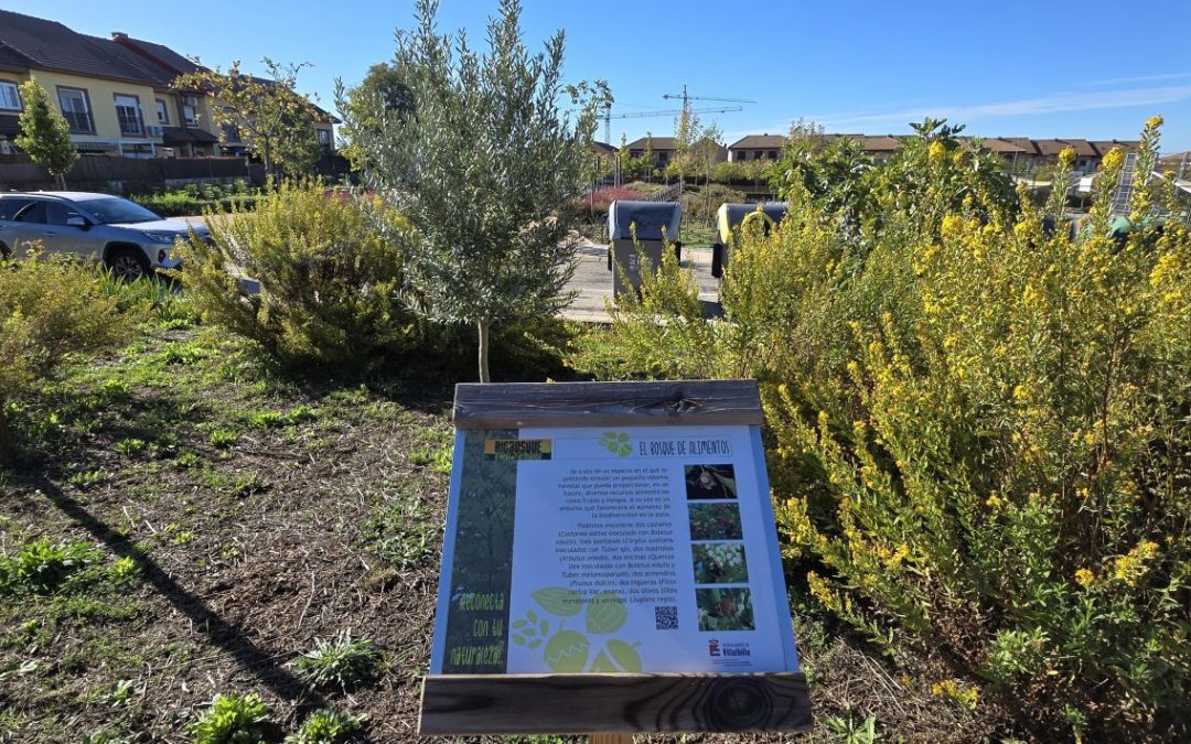Jardinería regenerativa: creación de un biobosque en Villalbilla