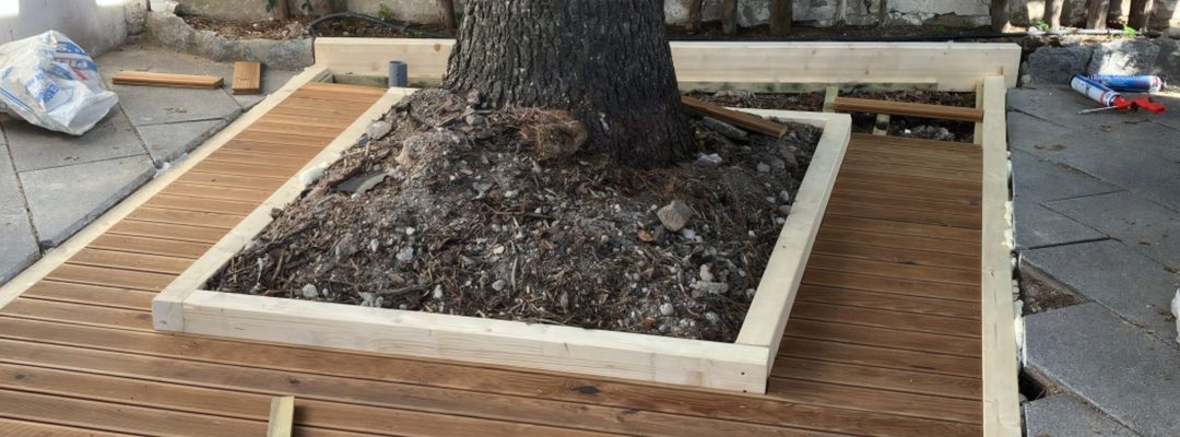 Si el árbol te levanta el pavimento, te contamos porqué y qué se puede hacer