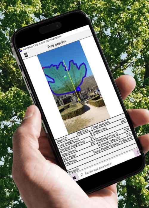 ArboStApp-para-evaluar-el-riesgo-en-arboles visualización en móvil de datos con Arborstapp