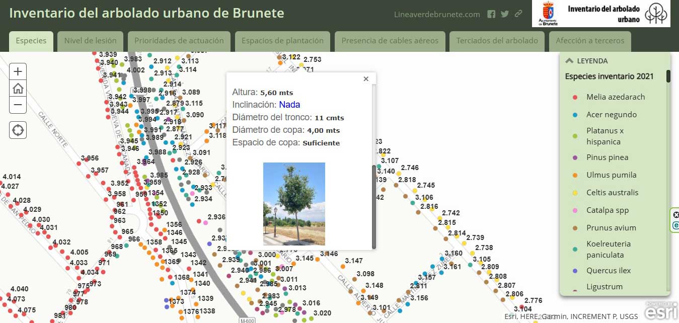 EJEMPLO-VISOR-GIS-de-árboles-geolocalizados Ejemplo de árboles geolocalizados en calles o avenidas con la información de cada uno de ellos especificada.