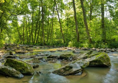 Ecobosque del río Conxo — Ayuntamiento de Santiago de Compostela