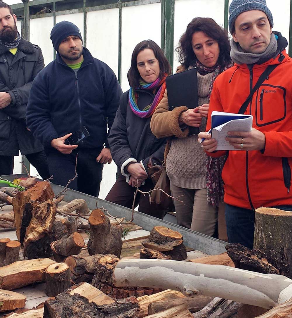 diseño-de-cursos-a-medida-para-ayumtamientos,-empresas-y-organismos-oficiales Grupo en una formación con mesa llena de trozos de troncos de diferentes tamaños