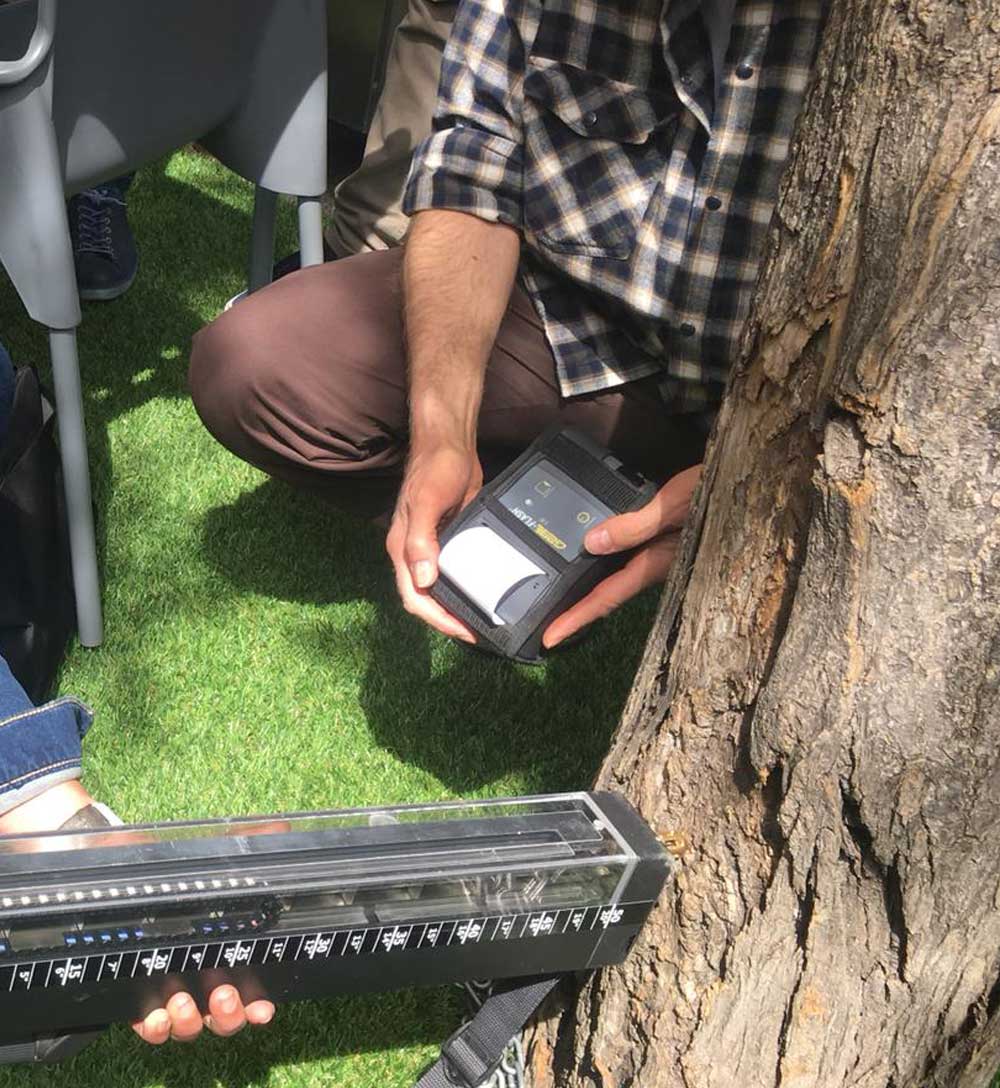 Mediciónes en tronco de un árbol Tomando datos del tronco de un árbol con resistógrafo