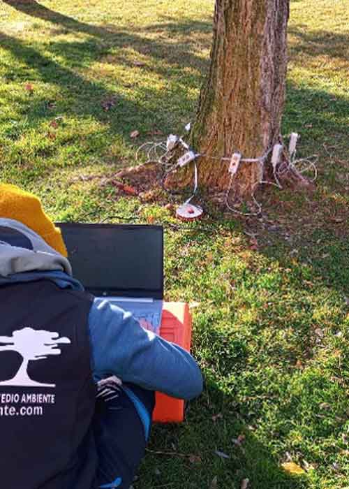 imagen-de-una-tomografía-sonica-a-un-árbol Arbol rodeado de sensores tomando datos del interior de un trocon por tomografía sónica.