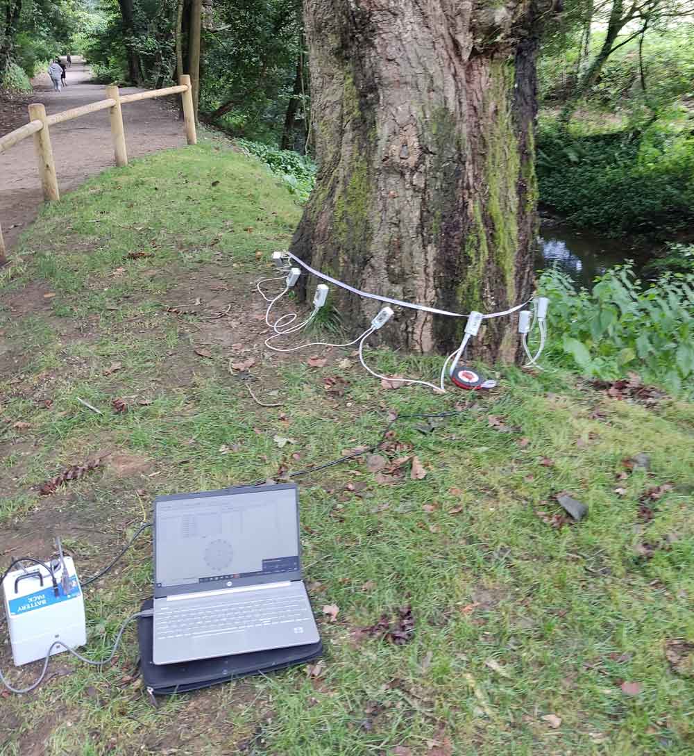 tomografía-de-un-árbol-medida-por-sdl-medioambiente Arce plateado de los jardines del Buen Retiro enMadrid
