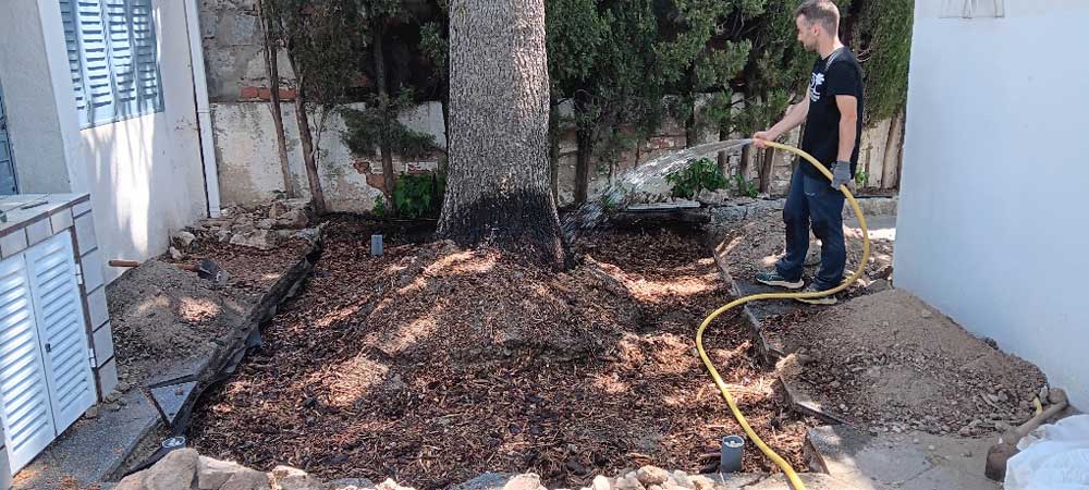 Paso 1 mejora alcorque Primer paso en la actuación para la mejora del alcorque de este árbol