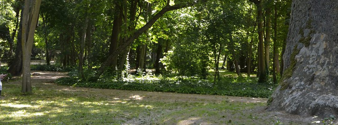 Sotos históricos de Aranjuez: Calculamos su valor