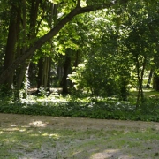 imagen desracada blog12