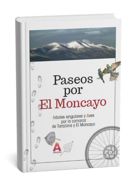 Paseos por el Moncayo libro Paseos por el Moncayo