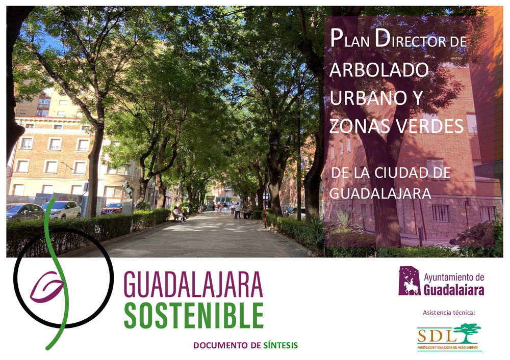 Portada del documento de síntesis del plan director de arbolado