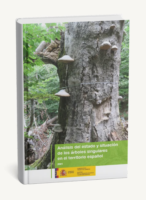 Portada del libro Análisis del estado y situación de los árboles singulares en el territorio español Portada del libro Análisis del estado y situación de los árboles singulares en el territorio español