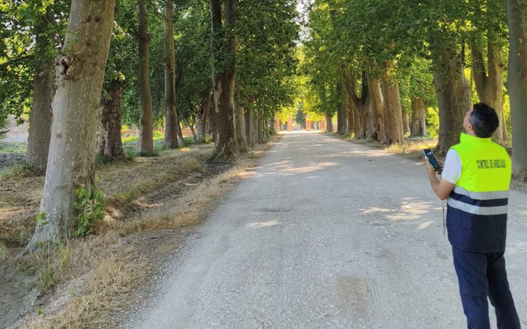 Inventario de arbolado y zonas verdes, Plan de renaturalización de San Javier (Murcia)
