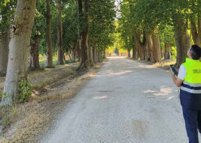 Inventario de arbolado y zonas verdes, Plan de renaturalización de San Javier (Murcia)