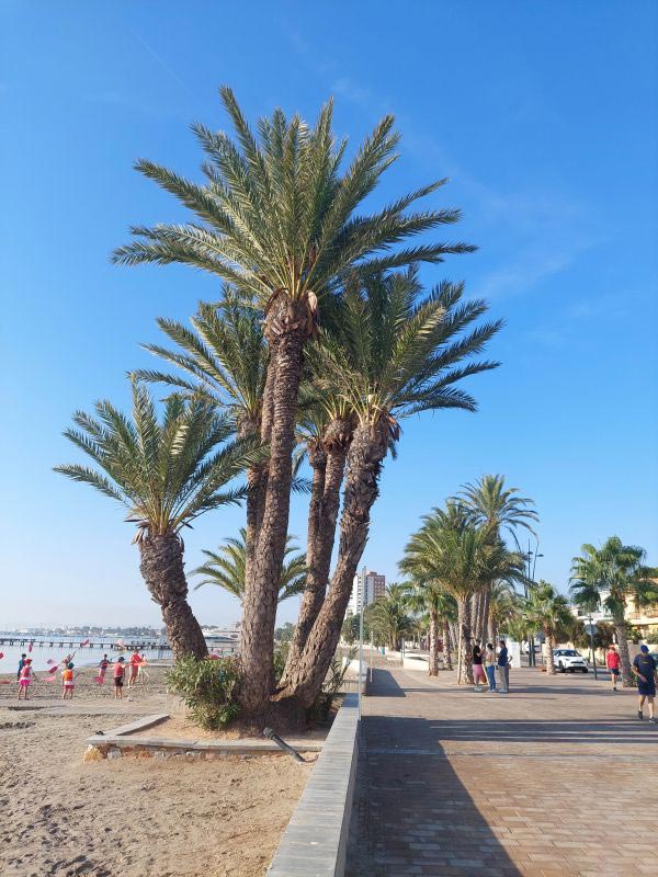 inventario en el paseo marítimo