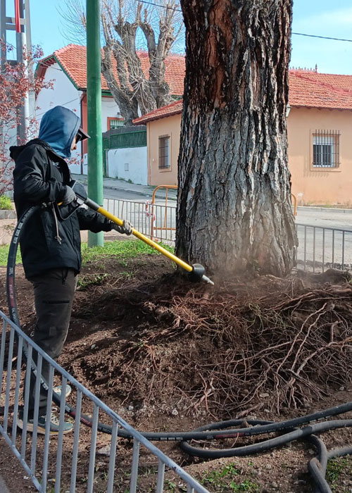 Descompactación de suelos